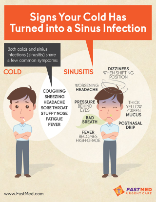 Illustration for article titled Sinus Infections